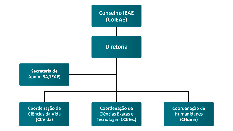 Organograma IEAE